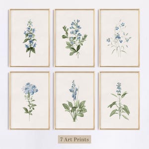 May include: Seven framed art prints showcasing botanical illustrations of blue flowers and green foliage. Each print is in a gold frame, set against a cream background. The text "7 Art Prints" is at the bottom.