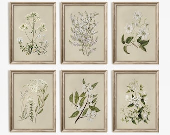 Neutral Botanical Print Set | Flower Art Prints Set of SIX | Vintage Floral Gallery Wall Set | Printable Digital Download