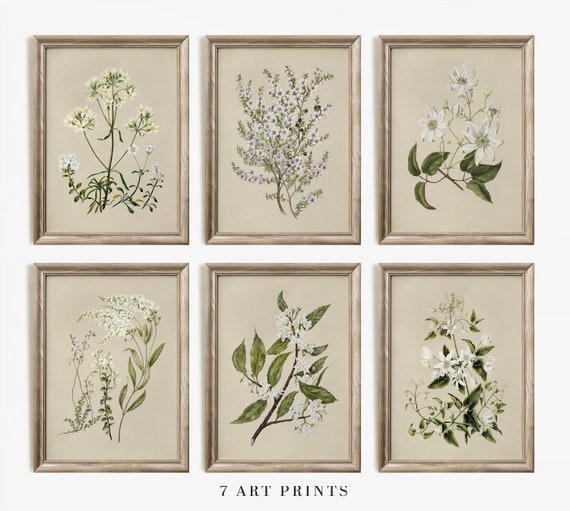 Vintage Botanical Prints Set of SIX: Neutral Floral Gallery Wall (Digital Download)