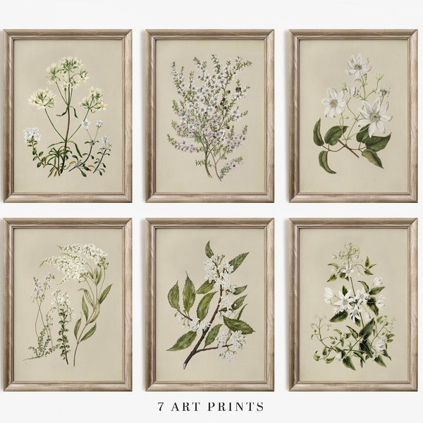 Ensemble d'impressions botaniques neutres | Lot de 6 reproductions d'art florales | Ensemble mural vintage floral galerie | Téléchargement numérique imprimable