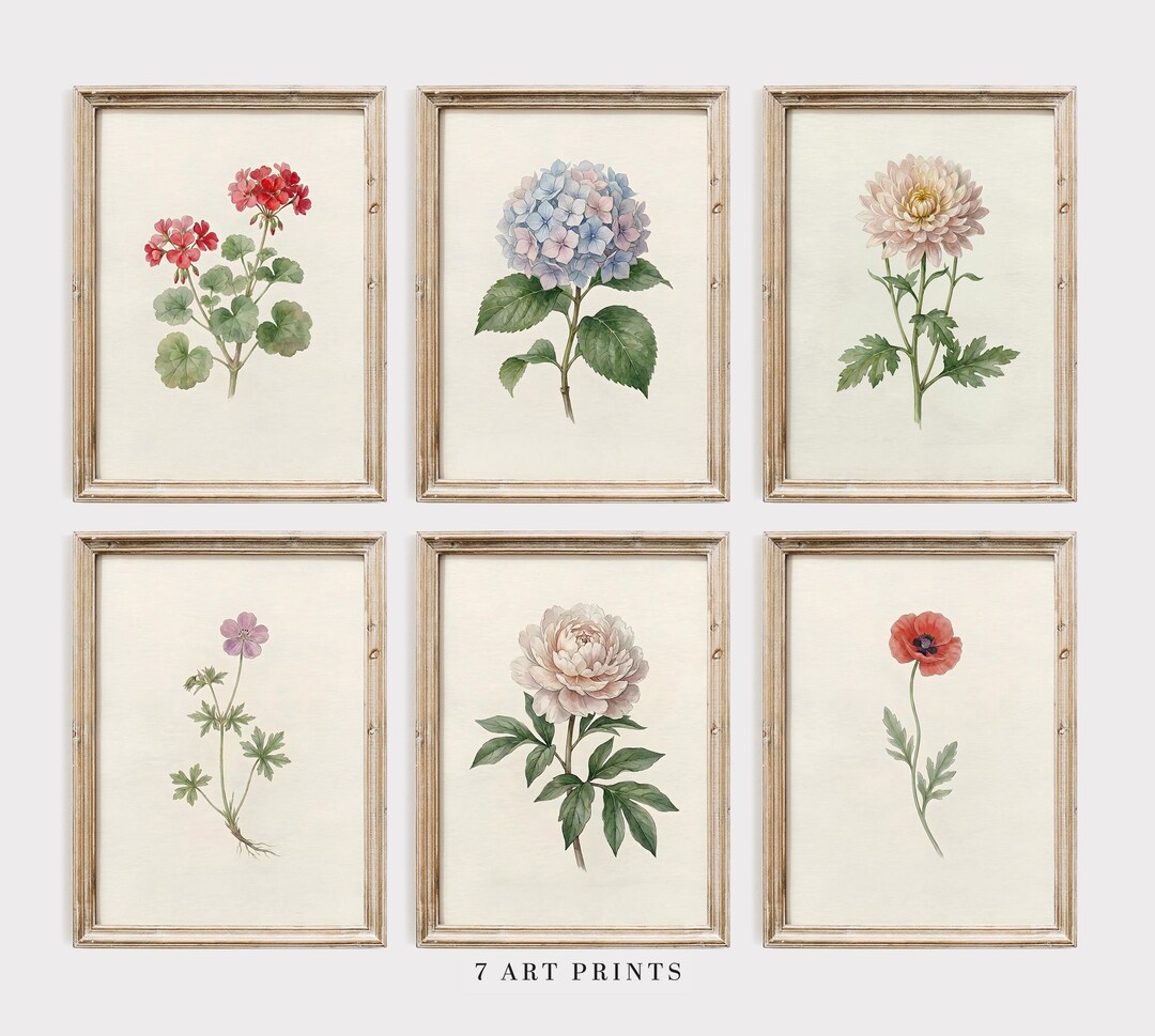 Vintage Botanical Wall Art Set of 6, Antique Flower Prints, Digital ...