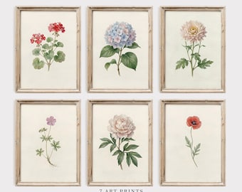 Vintage Botanical Wall Art Set of 6, Antique Flower Prints, Digital Download