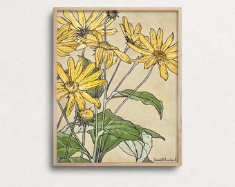 Sunflower Botanical Print: Vintage Floral Illustration (Digital Download)