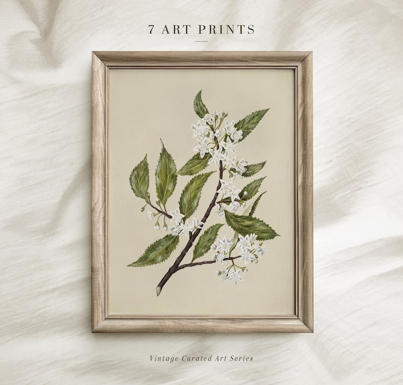 May include: A framed botanical illustration of a white flowering branch with green leaves on a beige background. The frame is light brown wood. The text "7 ART PRINTS" is at the top of the image and "Vintage Curated Art Series" is at the bottom.