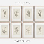 Botanical Prints