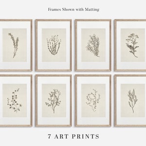 Neutral Botanical Print Set of EIGHT | Vintage Beige Gallery Art Print Set / Printable Wall Art Set