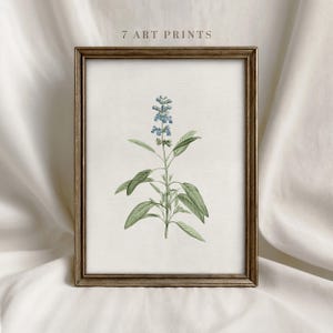 Blue Wildflower Botanical Print Set: Gallery Wall Art (digital Download ...
