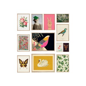 May include: A gallery wall of framed prints featuring a variety of images, including a bird, a butterfly, a swan, a fox, a hand making a peace sign, a floral pattern, and a rose.