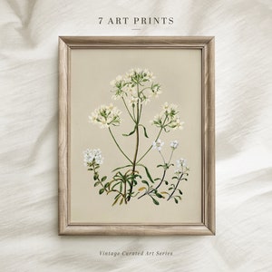 Vintage Botanical Prints Set of SIX: Neutral Floral Gallery Wall (Digital Download) image 5