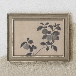 May include: A framed print featuring a botanical illustration of a fruit-bearing branch. The artwork, in shades of gray, depicts apples and leaves against a neutral background. The frame is a distressed gray with a white inner edge, adding a vintage aesthetic.