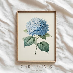May include: A framed art print featuring a detailed illustration of a blue hydrangea flower with green leaves and stem. The print is set against a cream-colored background and framed in a wooden frame. The text "7 ART PRINTS" and "Instant Download" are at the bottom.