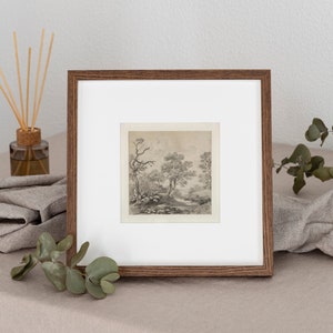 Vintage Tree Sketch Print, Square Art, Tree Wall Art, Neutral Etching, Nature Drawing, Digital Download, Printable Wall Art