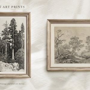 Op de afbeelding: Twee ingelijste zwart-wit natuurprints. De print aan de linkerkant toont een groep hoge bomen in een bos. De print aan de rechterkant toont een bos sc&egrave;ne met bomen en een beek.