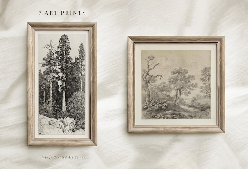 Op de afbeelding: Twee ingelijste zwart-wit natuurprints. De print aan de linkerkant toont een groep hoge bomen in een bos. De print aan de rechterkant toont een bos sc&egrave;ne met bomen en een beek.