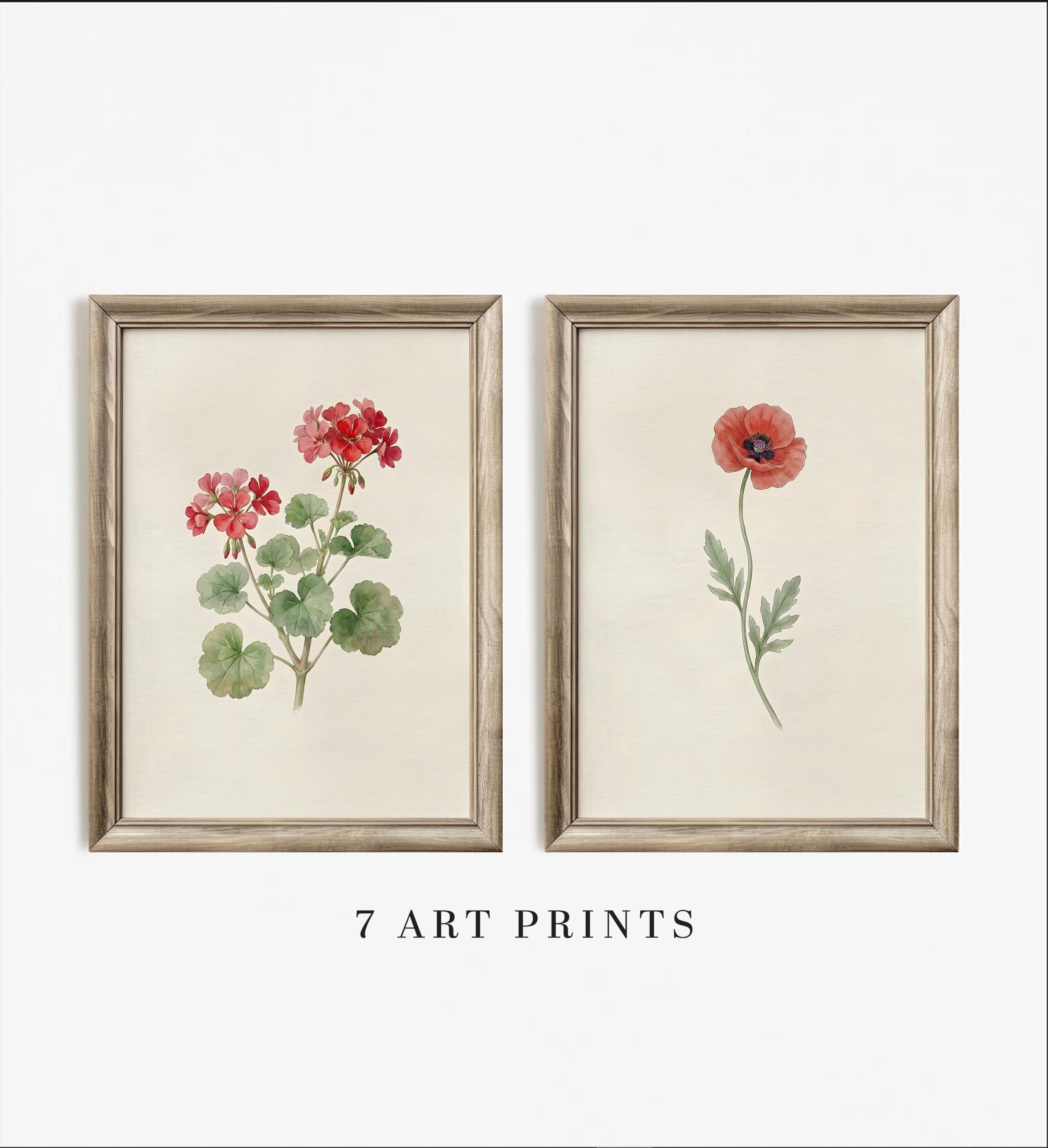 Vintage Botanical Wall Art Set of 6, Antique Flower Prints, Digital ...