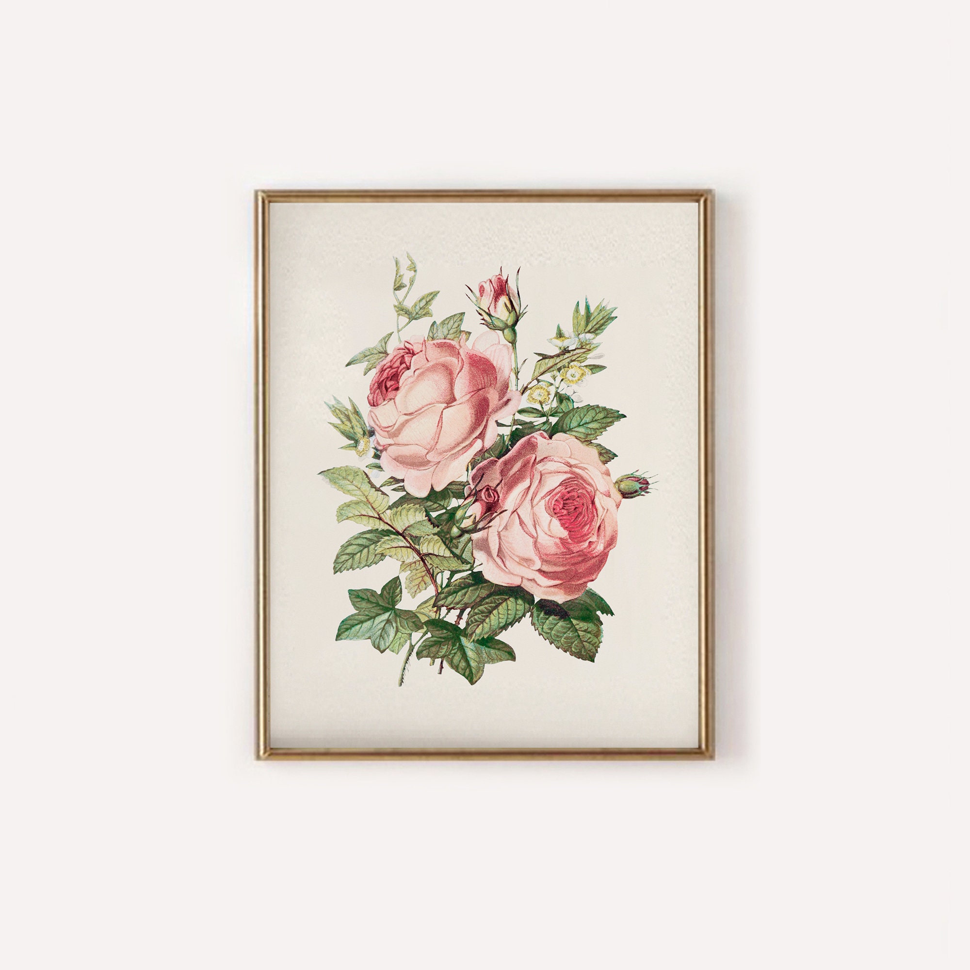 Pink Roses Print Set: Vintage English Cottage Art (digital Download) - Etsy