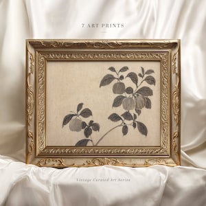 Vintage Apple Tree Sketch Print: Neutral Antique Etching (Digital Download)