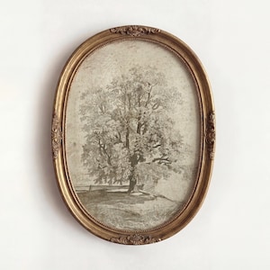 May include: An oval-shaped framed print featuring a detailed black and white illustration of a large tree. The frame is gold-colored with ornate detailing. The artwork is centered on a white background, creating a classic aesthetic.
