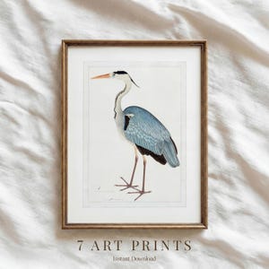 May include: Framed art print featuring a detailed illustration of a heron. The bird has blue and gray plumage, a long neck, and a long orange beak. The print is in a wooden frame, with the text "7 ART PRINTS" at the bottom.