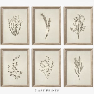 Ensemble mural pour galerie d'impressions botaniques | Lot de SIX beiges ton sur ton | Ensemble d'art mural floral neutre vintage | Ensemble mural imprimable pour galerie