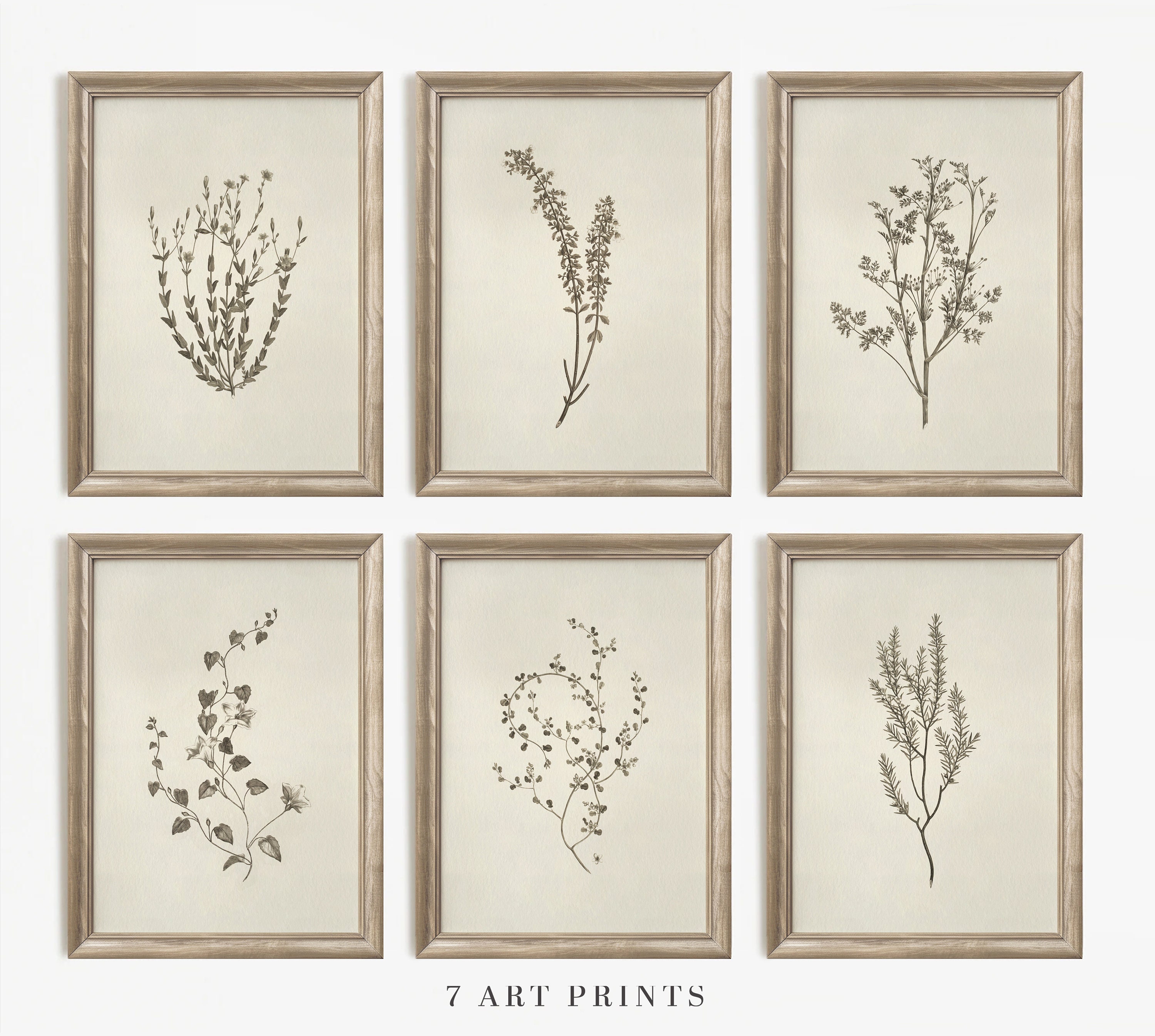 Botanical Prints Gallery Wall Set: Vintage Beige Floral Art (Digital Download)