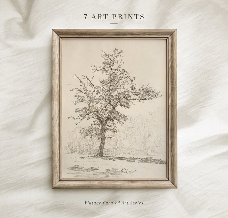 Op de afbeelding: Een ingelijste zwart-witte lijntekening van een boom in een bosrijke omgeving. De tekening bevindt zich in een licht houten lijst. De tekst "7 ART PRINTS" staat boven de lijst en "Vintage Curated Art Series" staat onder de lijst.