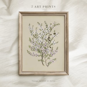 Vintage Botanical Prints Set of SIX: Neutral Floral Gallery Wall (Digital Download) image 3