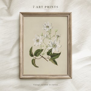 May include: A framed vintage botanical illustration of white flowers with green leaves on a beige background. The frame is light brown wood. The text "7 ART PRINTS" is above the image and "Vintage Curated Art Series" is below the image.