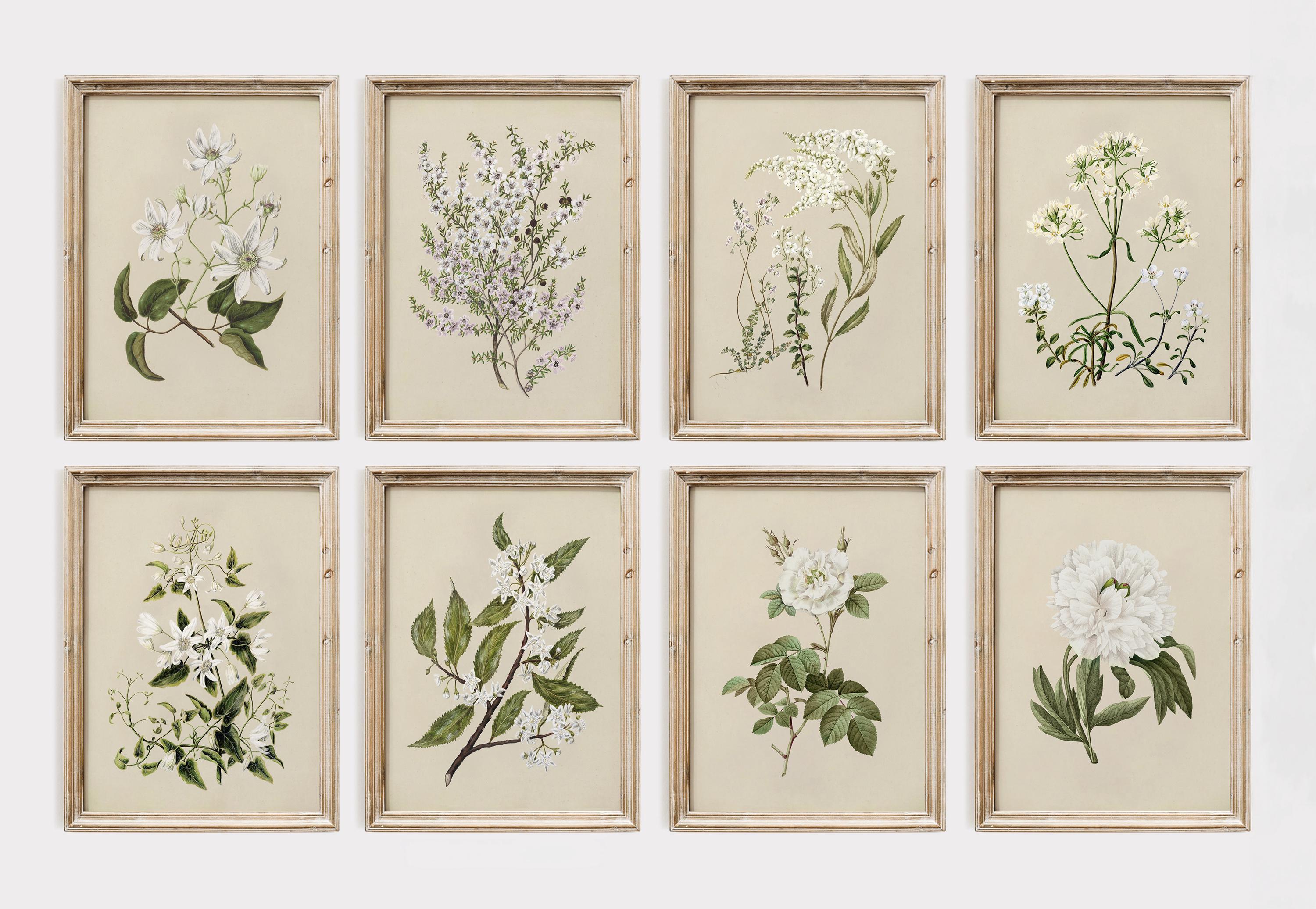 Vintage White Flower Botanical Prints Set: Cottagecore Gallery Wall ...