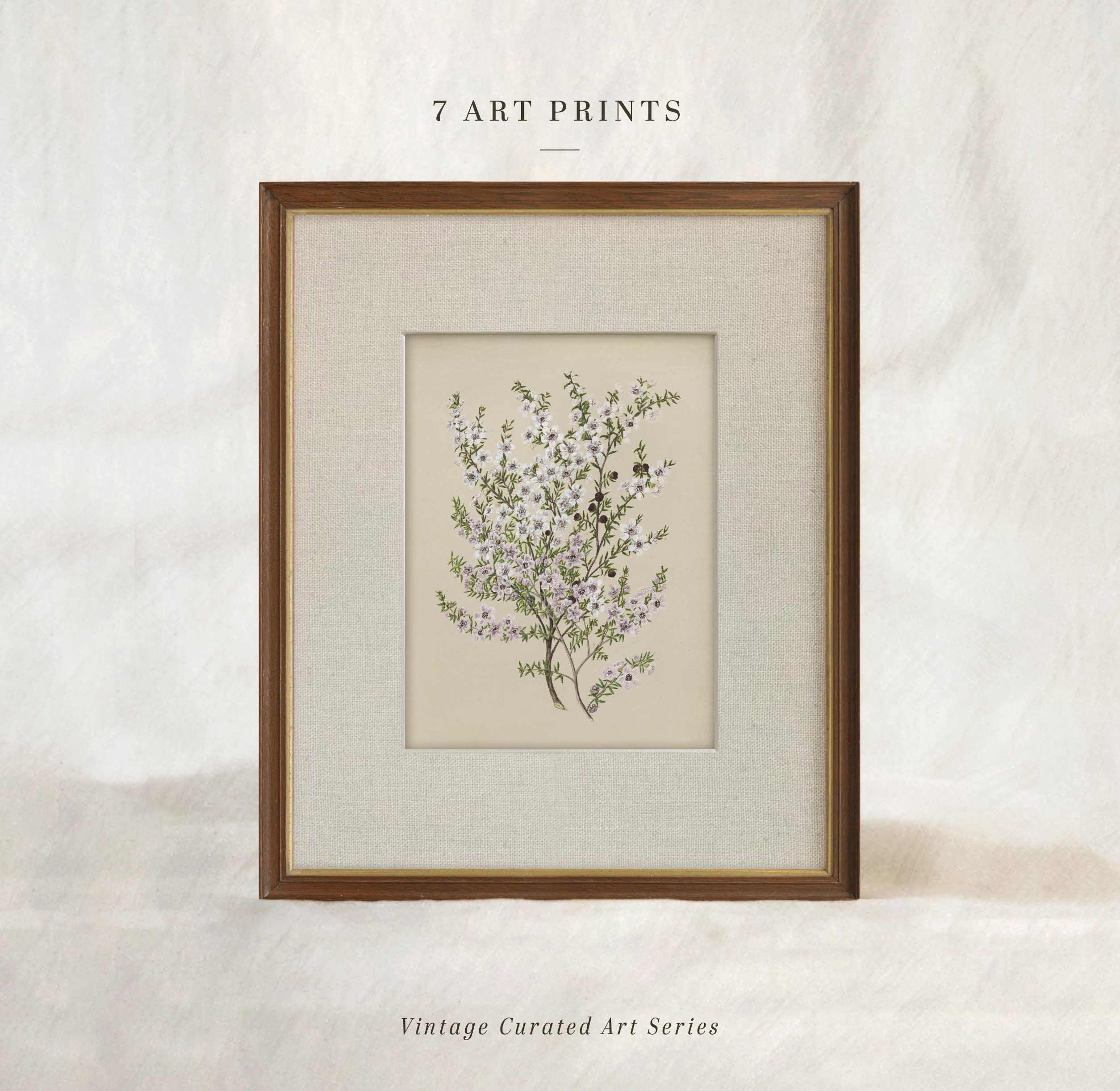 Vintage Flower Art Print, Botanical Wall Decor , Digital Download - Etsy