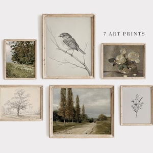 Puede incluir: Siete impresiones artísticas enmarcadas dispuestas sobre un fondo blanco. Las impresiones presentan varias ilustraciones de paisajes y botánica de estilo vintage, incluyendo un pájaro en una rama, un bodegón floral y un árbol. Se muestra el texto "7 ART PRINTS".