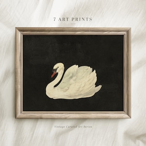 Vintage Animal Print, White Swan Painting, Digital Download
