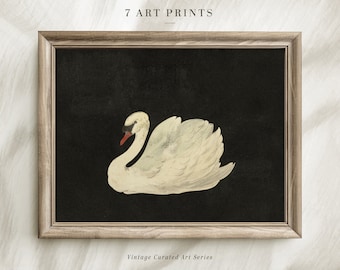 Vintage Animal Print, Pintura de cisne blanco, Descarga digital