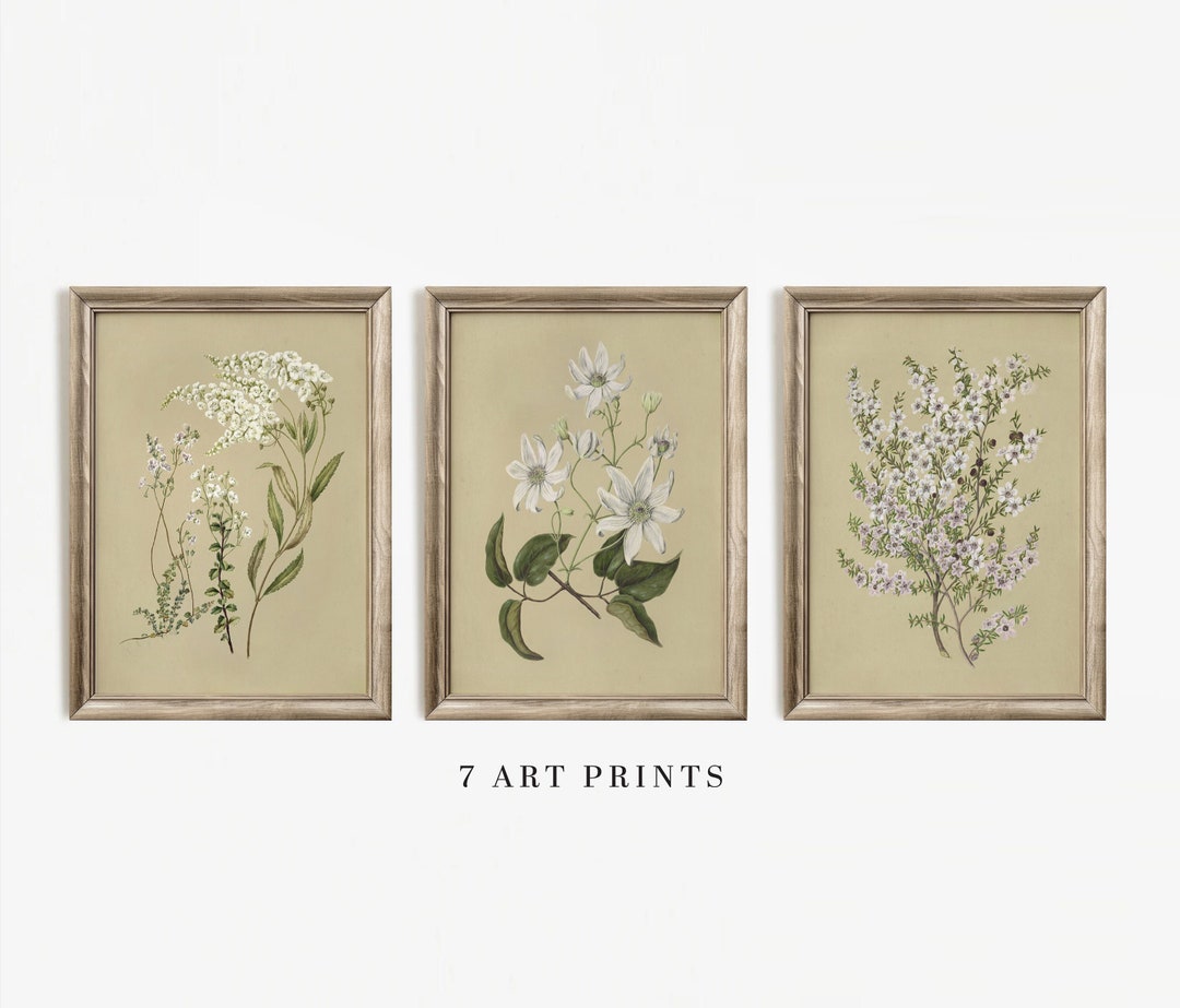 Floral Wall Art Set: Vintage Botanical Prints (set of 3) (digital ...
