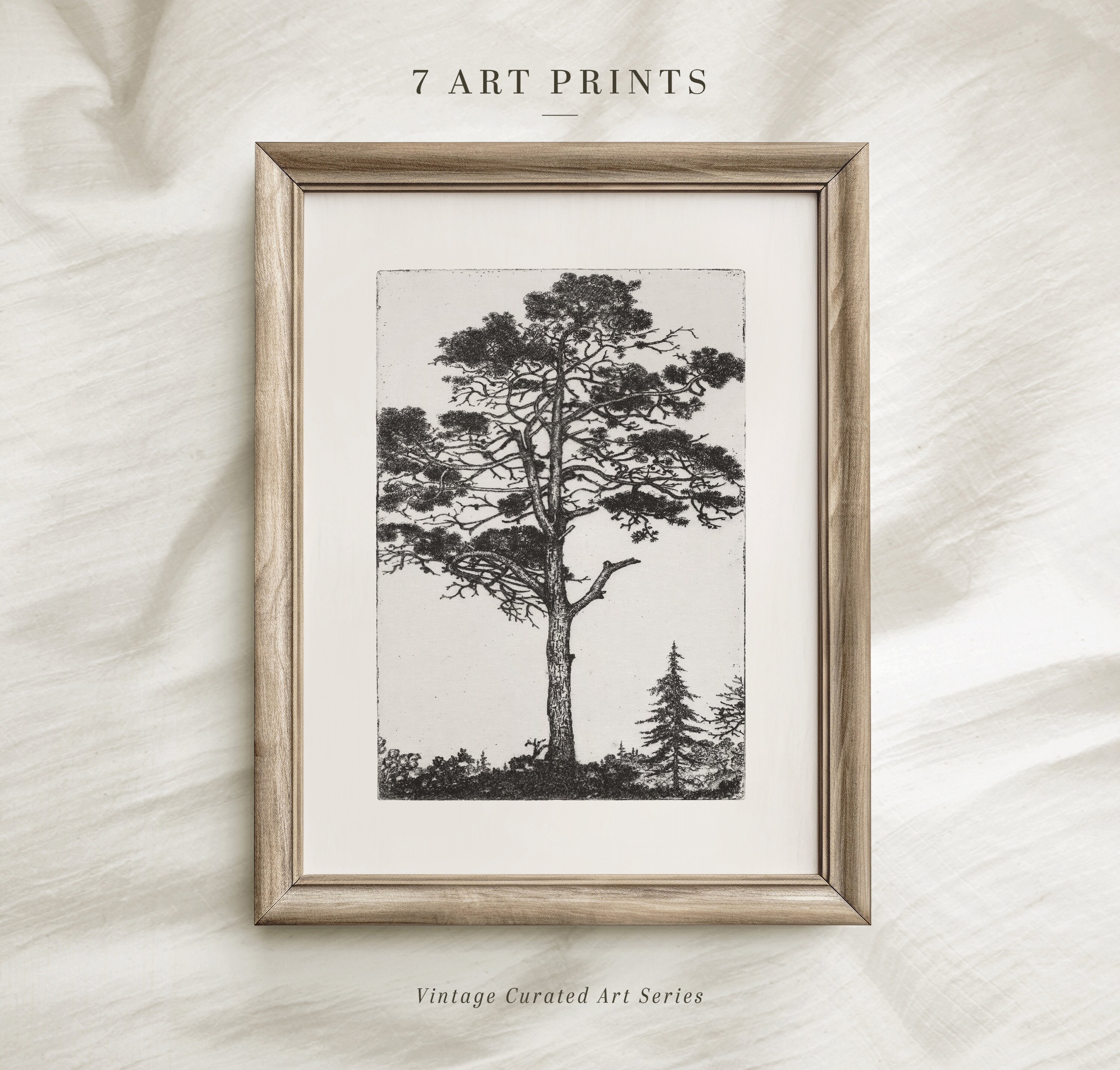 Tree Sketch Print Set: Etching Style Gallery Wall Art