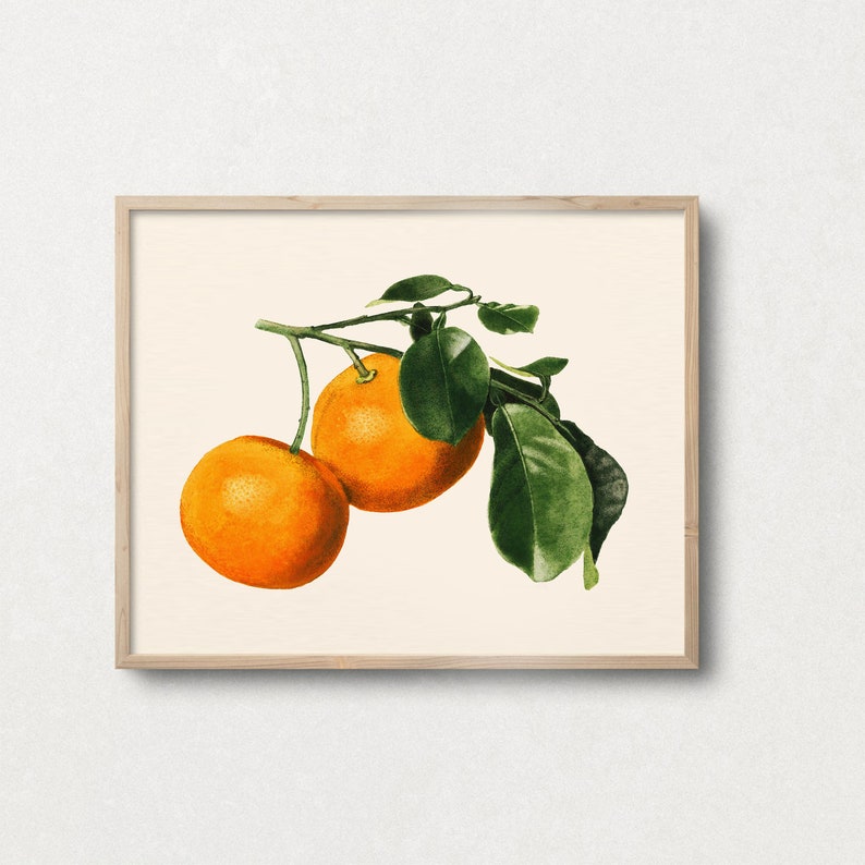 K&ouml;nnte beinhalten: Ein Aquarellbild von zwei Orangen an einem Zweig mit gr&uuml;nen Bl&auml;ttern. Die Orangen sind leuchtend orange und die Bl&auml;tter sind tiefgr&uuml;n.