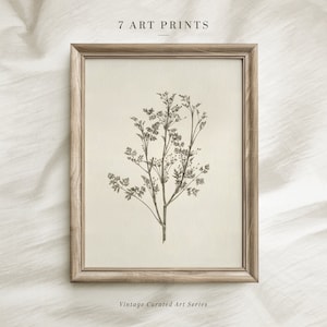 Vintage Flower Print, Botanical Wall Decor, Digital Download