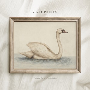 Vintage Swan Print: Neutral Farmhouse Nursery Wall Art (Digital Download)