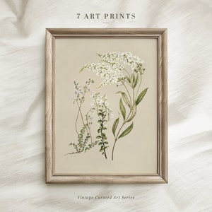 Vintage Botanical Prints Set of SIX: Neutral Floral Gallery Wall (Digital Download) image 4