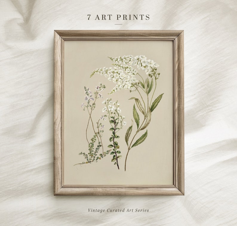 Vintage Botanical Prints Set of SIX: Neutral Floral Gallery Wall (Digital Download) image 4