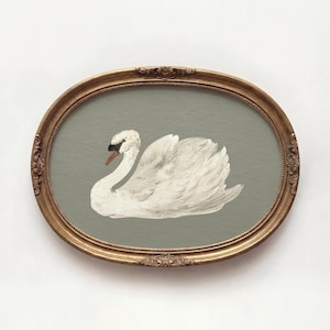 May include: Oval framed artwork featuring a white swan with a black beak and a reddish-orange accent. The swan is set against a muted green background. The frame is gold-colored with ornate detailing, adding a vintage aesthetic.