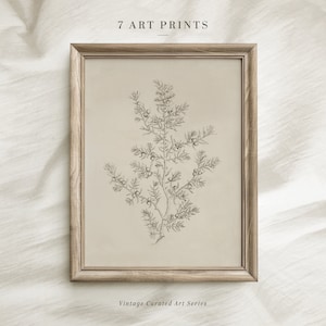 Vintage Baum Skizze Print, Olivenbaum Wandkunst, neutrale Radierung, antike Natur Zeichnung, rustikale stimmungsvolle Wohnkultur, digitaler Download