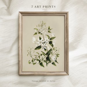 May include: A framed vintage botanical illustration of white flowers with green leaves on a beige background. The frame is a light brown wood. The text "7 ART PRINTS" is at the top of the image and "Vintage Curated Art Series" is at the bottom.