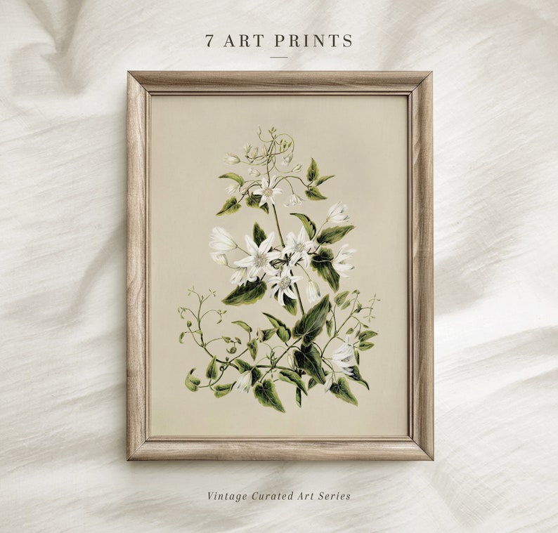 May include: A framed vintage botanical illustration of white flowers with green leaves on a beige background. The frame is a light brown wood. The text "7 ART PRINTS" is at the top of the image and "Vintage Curated Art Series" is at the bottom.