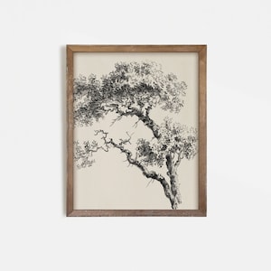 Vintage Gallery Wall Art Set: Eclectic Antique Prints (Digital Download) image 8