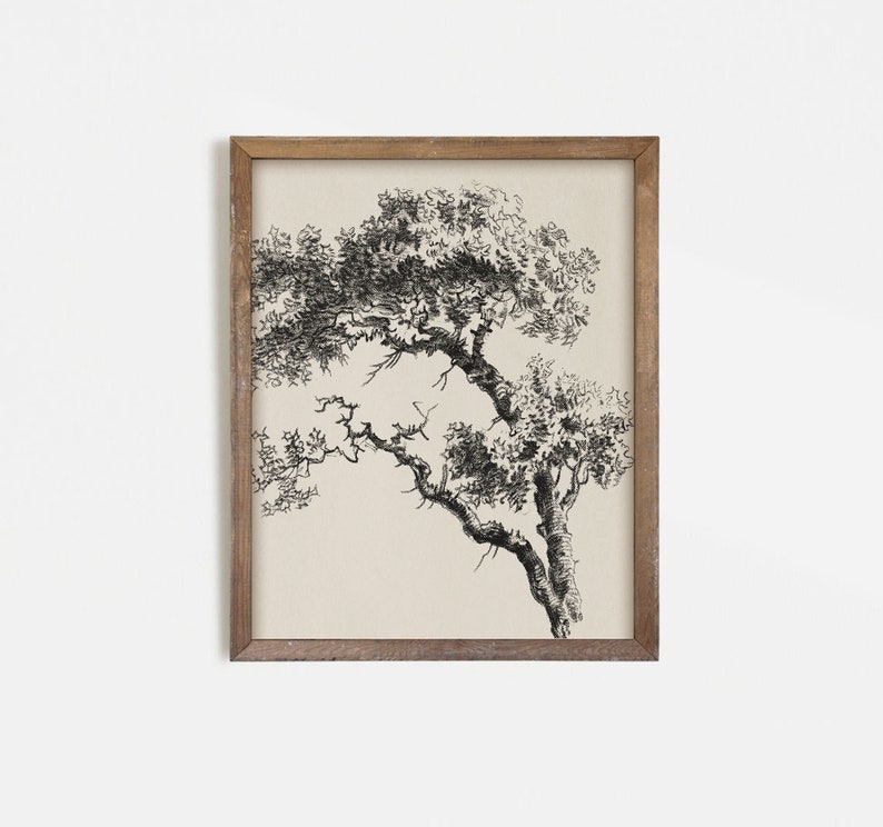 Vintage Gallery Wall Art Set: Eclectic Antique Prints (Digital Download) image 8