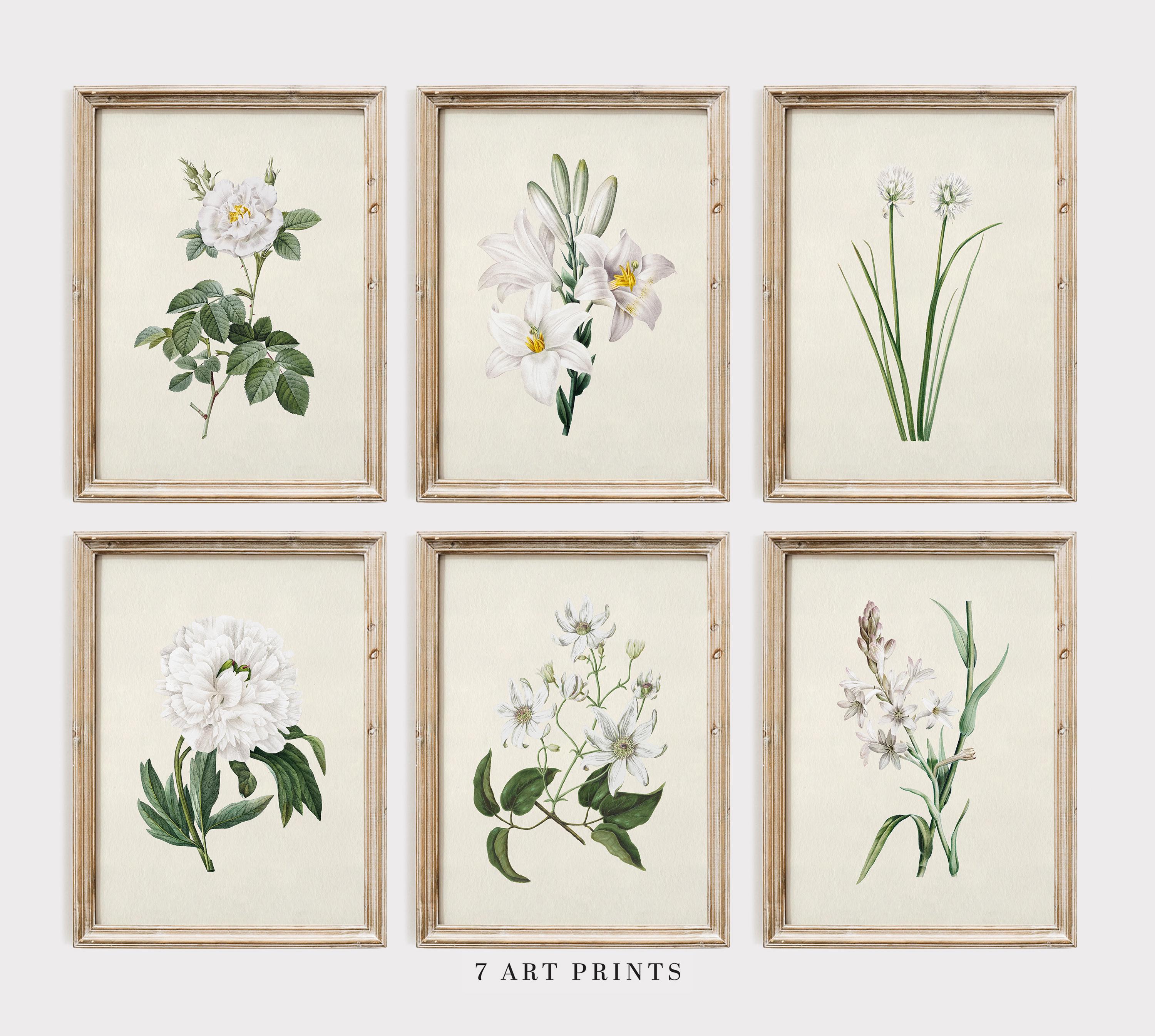White Botanical Print Set: Vintage Floral Wall Art, Farmhouse Decor ...
