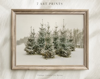 May include: A framed photograph of a snowy winter scene with a group of evergreen trees covered in snow. The trees are in the foreground of the image, and the background is a blurry white landscape. The frame is a light brown wood with a simple design.