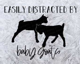 Baby Goats SVG - Goat Svg - Easily distracted by baby goats SVG - Cute SVG