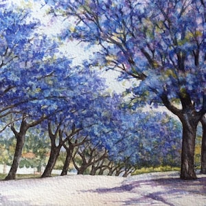 Carte de voeux pliée de rue doublée de Jacaranda avec mes illustrations originales à l'aquarelle. Intérieur vierge pour toute occasion, avec enveloppe blanche.